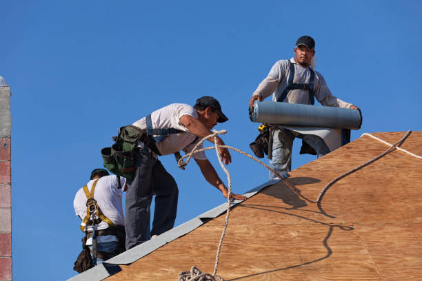 Best Roof Repair Services  in Baltimore Highlands, MD