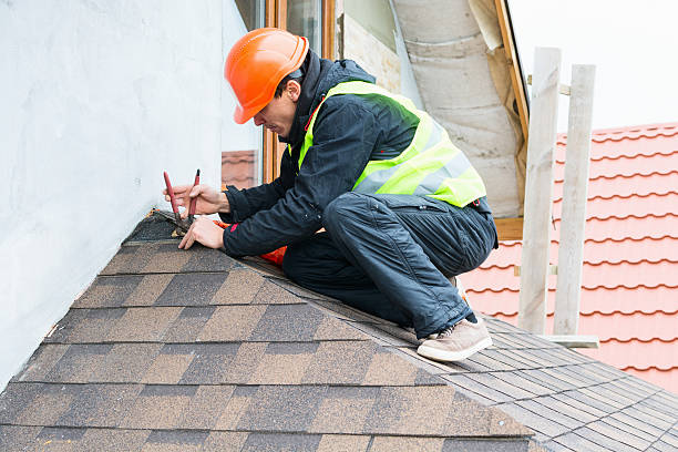 Best Roof Gutter Cleaning  in Baltimore Highlands, MD